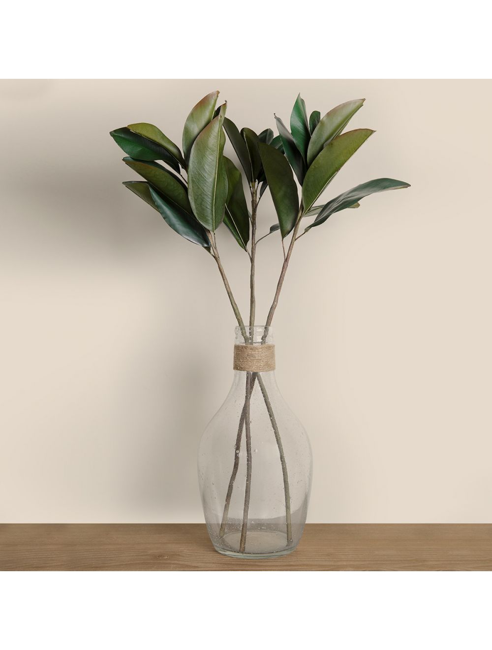 Magnolia Foliage
